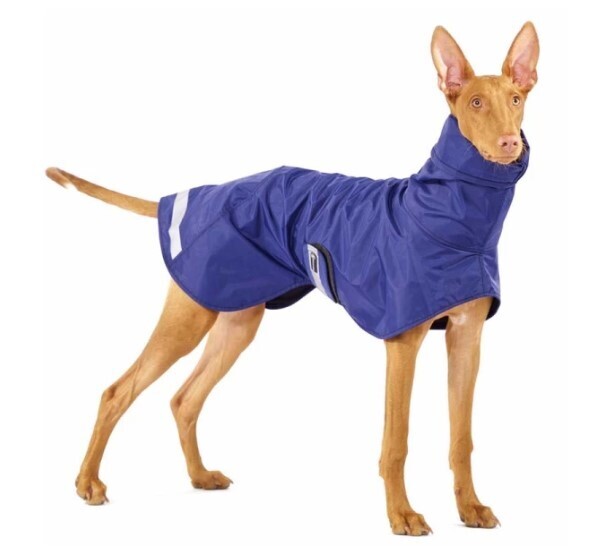 Sofa Dog Wear Michael B-RAIN blau Regenmantel