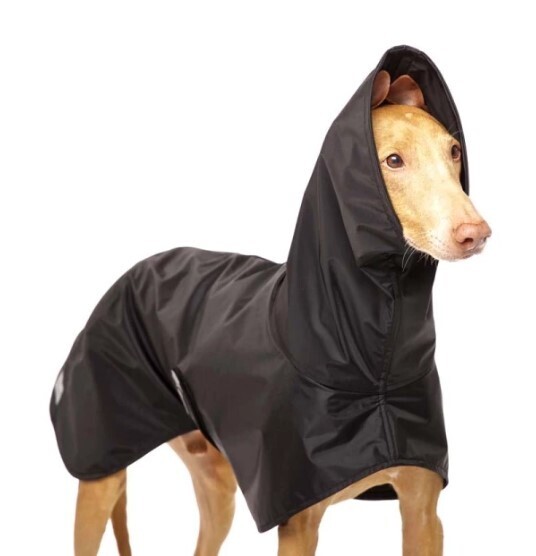 Sofa Dog Wear Michael B-RAIN schwarz Regenmantel, Größe: S3