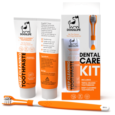 DogsLife Dentalcare Kit incl. Zahnbürste 100g