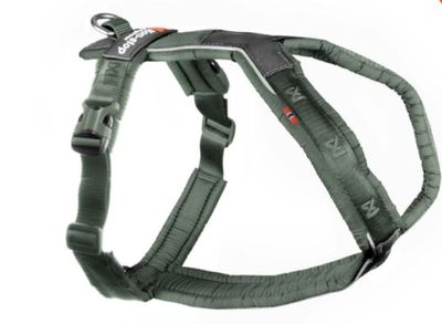 Non Stop Dogwear Line Harness 5.0 green