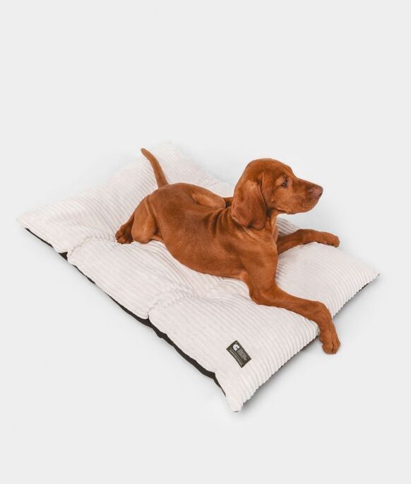 Hundekissen aus Cord weiß
