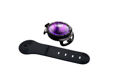 Orbiloc safety light DOG lila