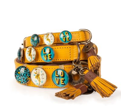DWAM Hundehalsband "New York "