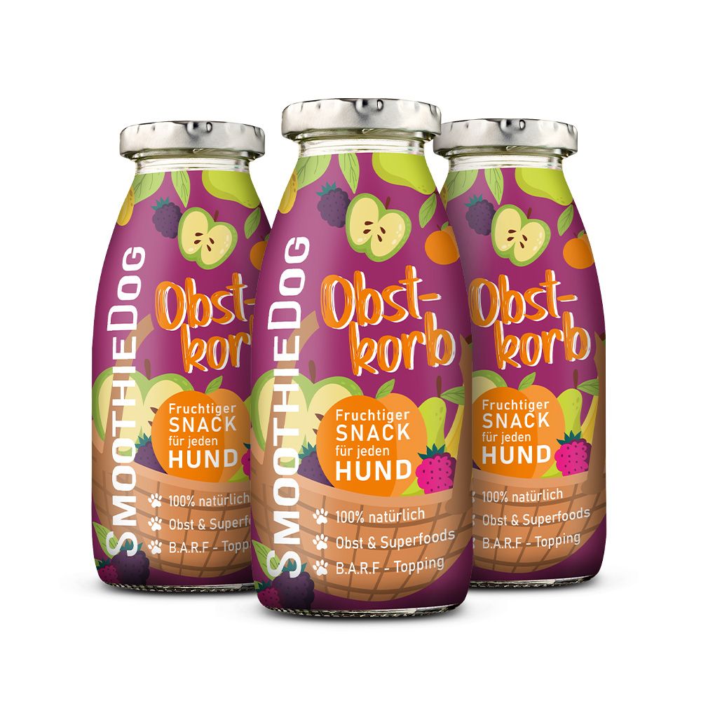Smoothie Obstkorb250ml
