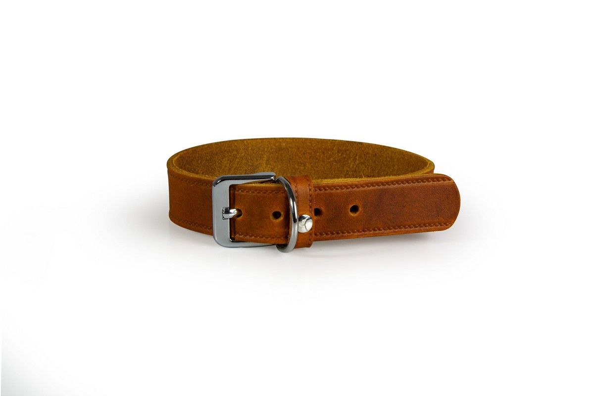 Hundehalsband Weinheim Maroon