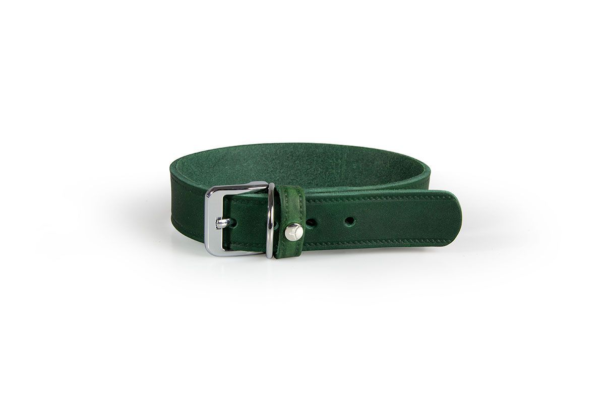 Hundehalsband Weinheim hunting Green