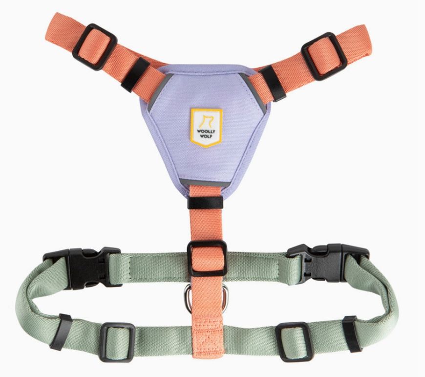 Woolly Wolf Geschirr Color Block Lachsrosa