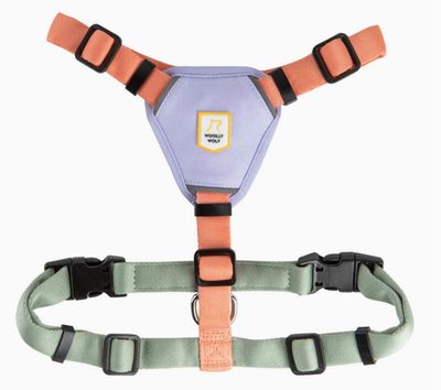 Woolly Wolf Geschirr Color Block Lachsrosa Woolly Wolf Geschirr Color Block Lachsrosa