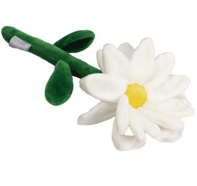 Beeztees Gänseblümchen Beeztees Gänseblümchen