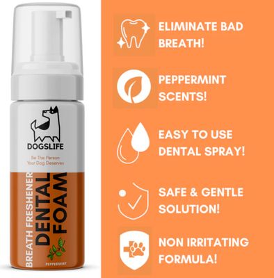 Dogslife Dentalschaum für Hunde - 150ml