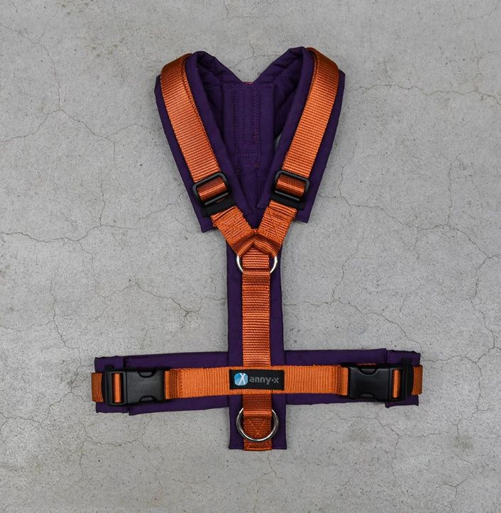 Anny X Brustgeschirr Fun  limited Edition Pflaume / Zimt