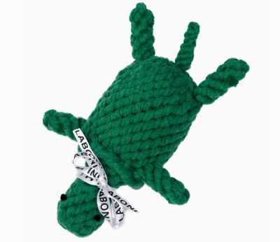 Laboni Tina Turtle Zahnpflege  Kauspielzeug