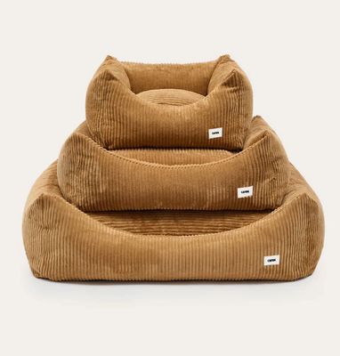 Hundebett Cord "Snozy" senfgelb