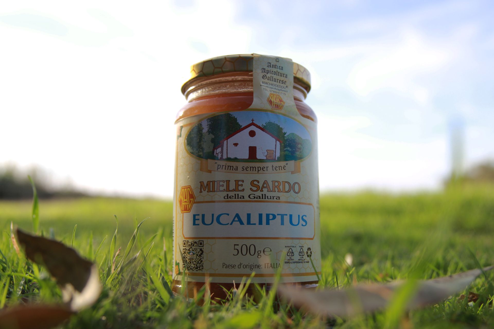 MIELE DI EUCALIPTUS