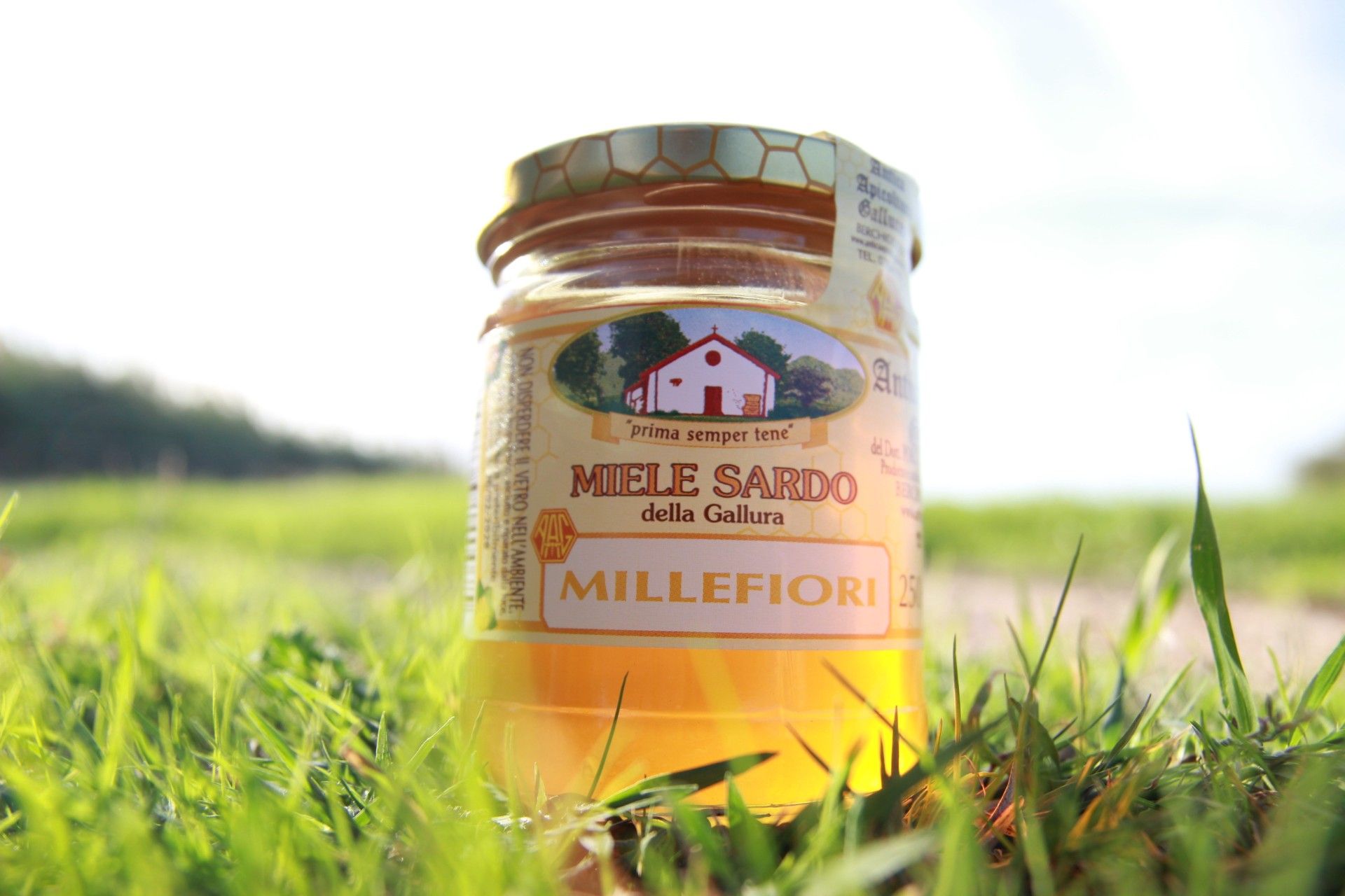 MIELE LAVANDA