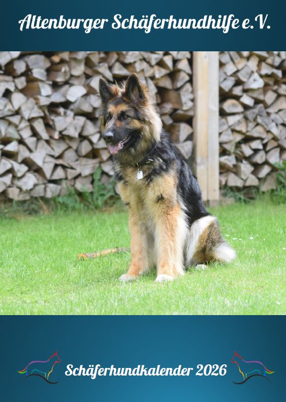 Schäferhundkalender 2026