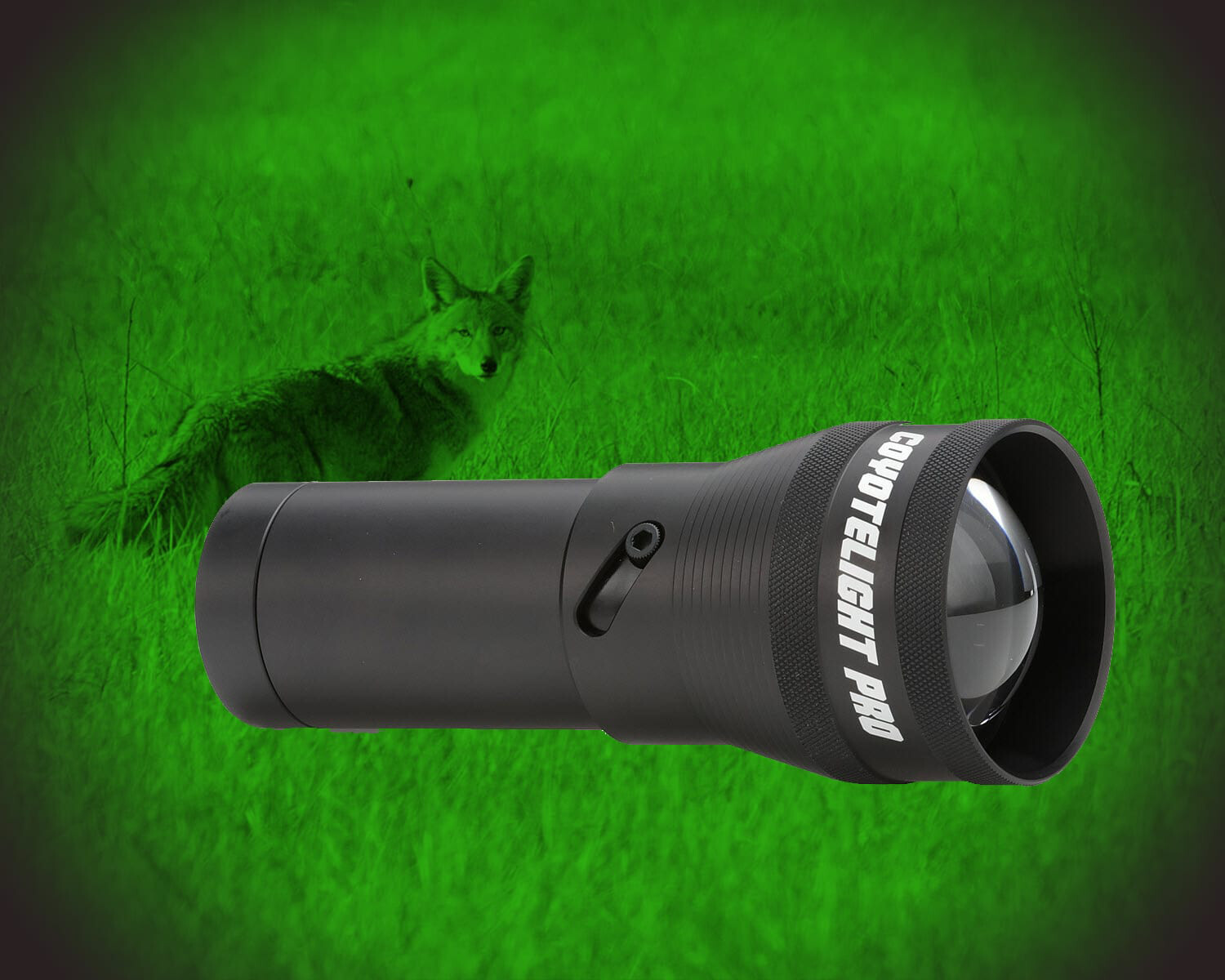 Coyote Light