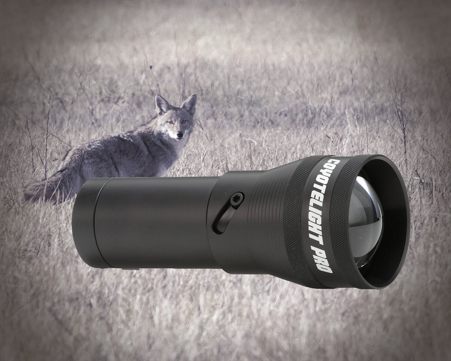 Coyote Light