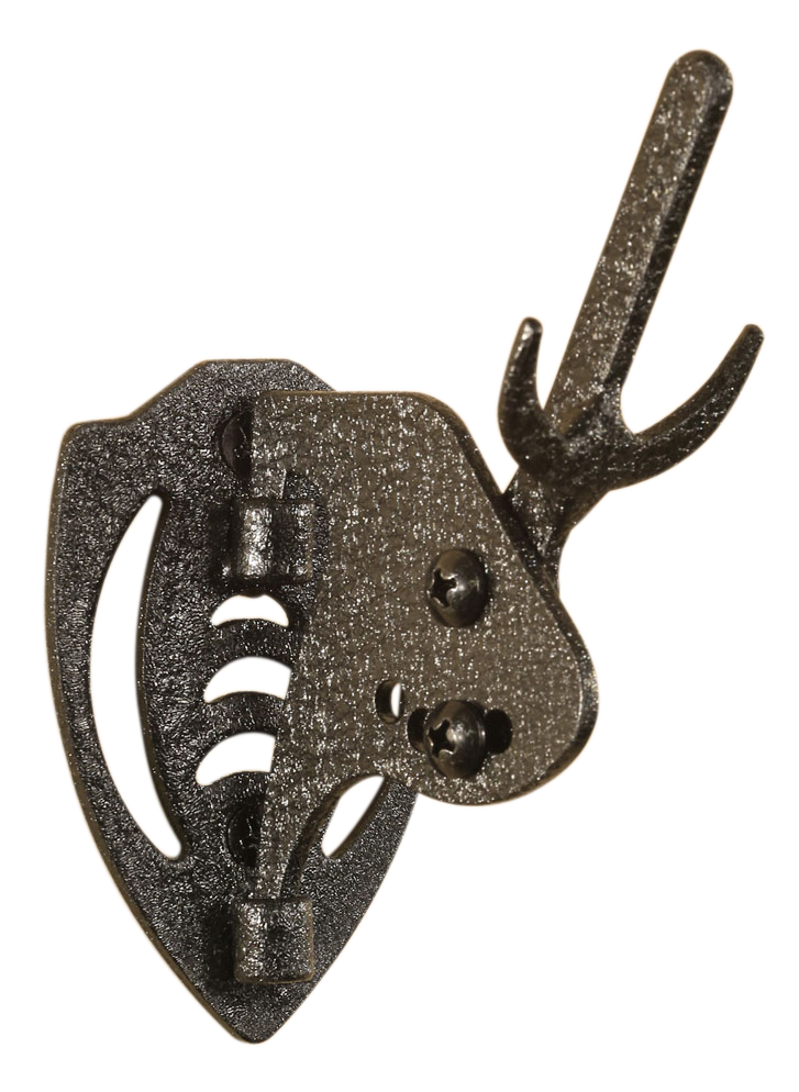 European Skull Mount