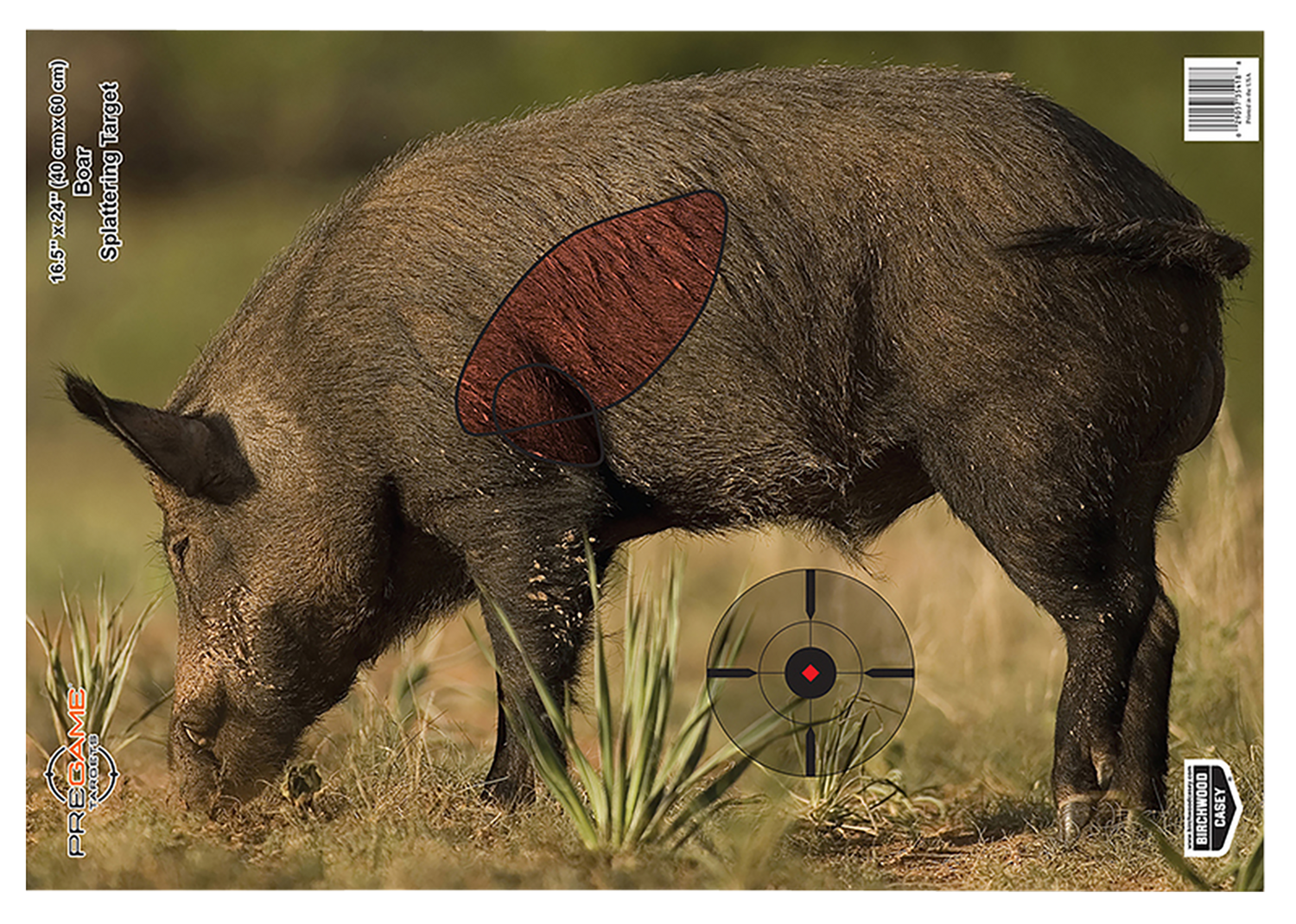 Birchwood Casey Pregame, Bir 35408          Pregame 16.5x24 Boar  3pk