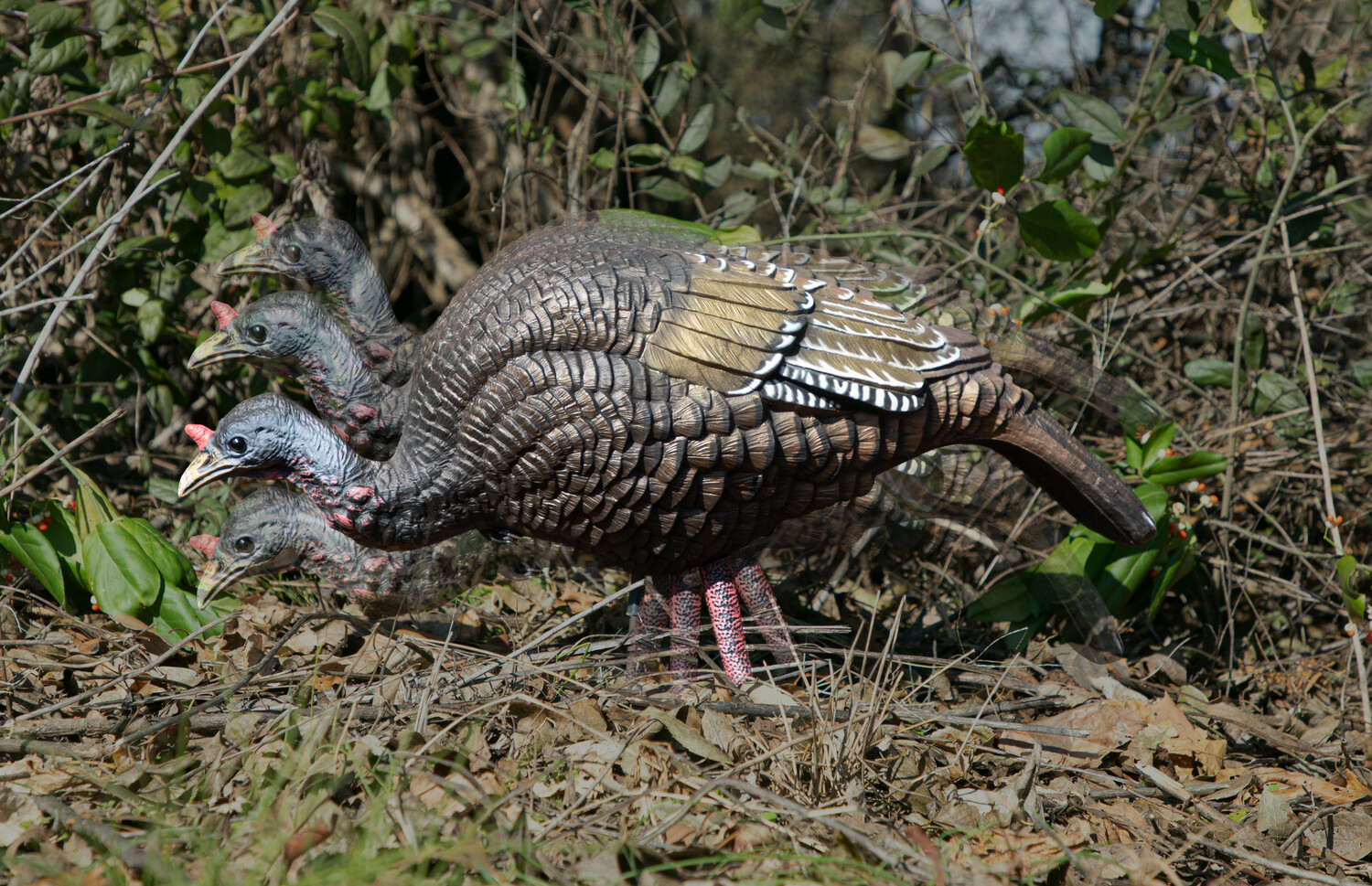 Higdon Decoys Xs, Higdon 63171 Trufeeder Xs Motion Trky Hen Decoy