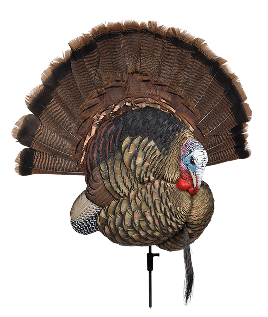 Avian X (gsm) Trophy Tom, Avian Avxavx8021 Trophy Tom                  Decoy