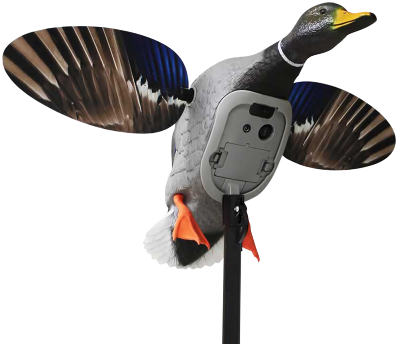 Mojo King Mallard, Mojo Hw2520 Es King Mallard Mojo King Mallard, Mojo Hw2520 Es King Mallard