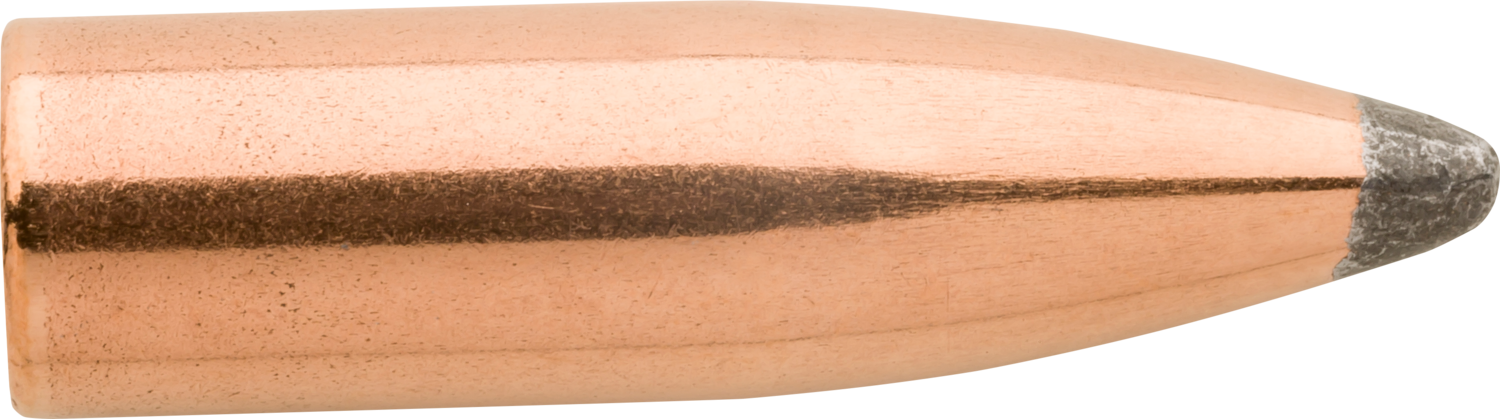 Sierra Varminter, Sierra 1520  .243  85 Spt          100