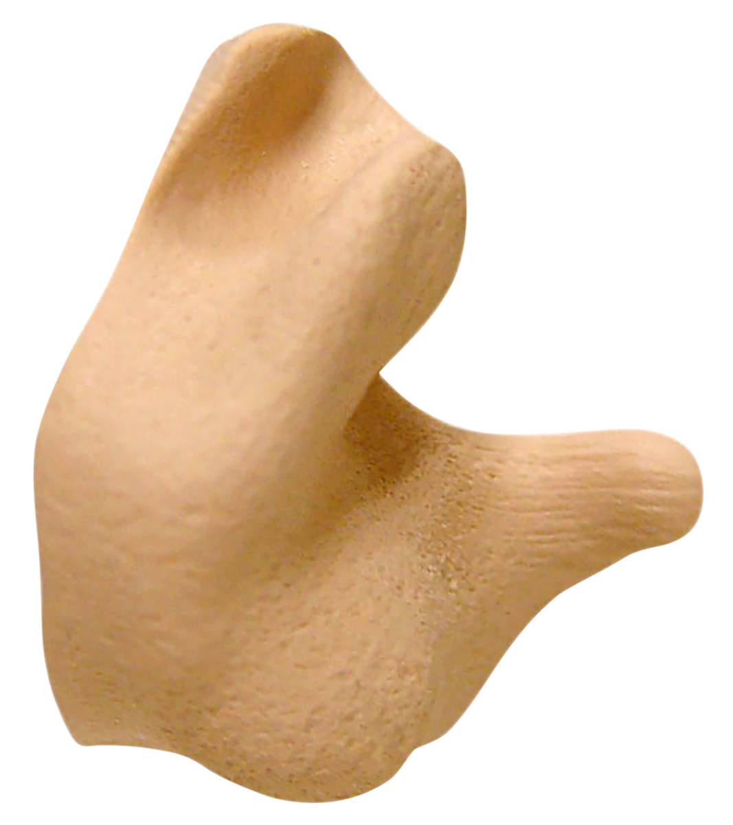 Radians Custom Molded, Rad Cep002-t   Cust Molded Earplugs Tan