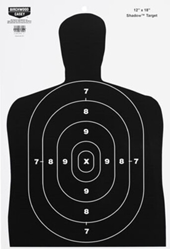 Birchwood Casey Eze-scorer, Bir 37005          Ezescorer 12x18 Bc27 Target 100