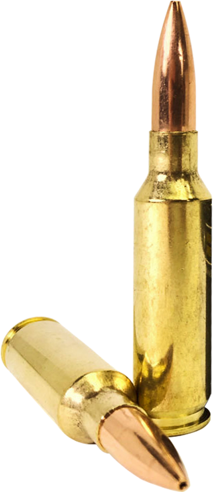 Armscor Usa, Arms Fac65cin         6.5crd   123 Hpbt      20/10