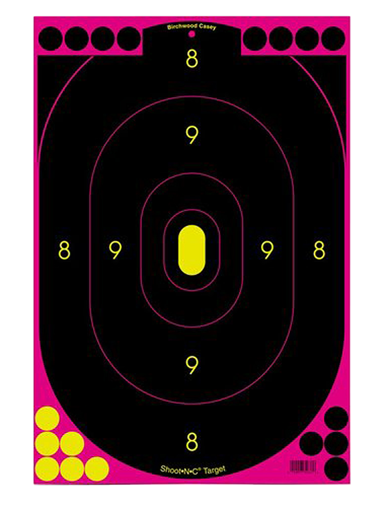 Birchwood Casey Shoot-n-c, Bir 34633          Shoot-n-c 12x18 Silht Pnk 100pk