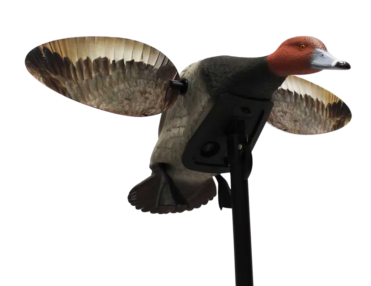 Mojo Elite Series, Mojo Hw2492   Es Diver Redhead
