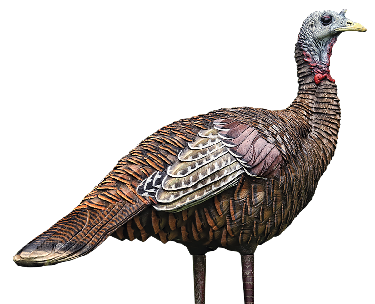 Avian X (gsm) Lcd, Avian Avxavx8006 Lcd Lookout Hen             Decoy