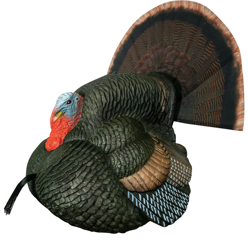 Primos Lil' Gobblestopper, Prim 69076    Lil Gobbstopper Strutter  Decoy