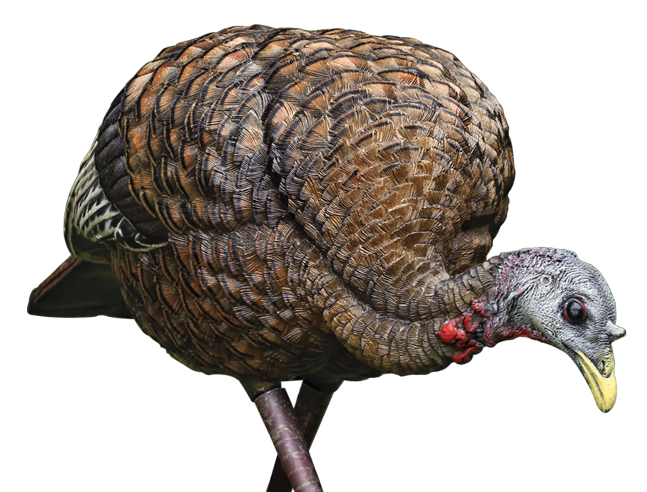 Avian X (gsm) Lcd, Avian Avxavx8007 Lcd Feeder  Hen             Decoy