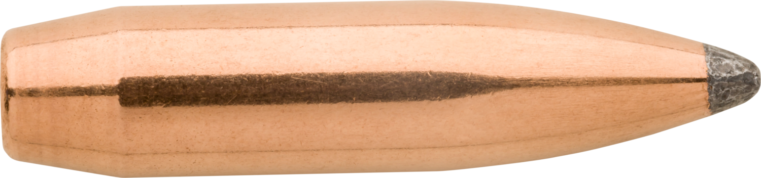 Sierra Gameking, Sierra 1560  .243 100 Sbt          100