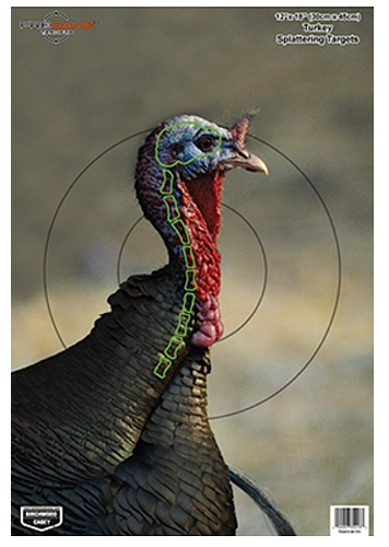 Birchwood Casey Pregame, Bir 35403          Pregame 12x18 Turkey 8pk