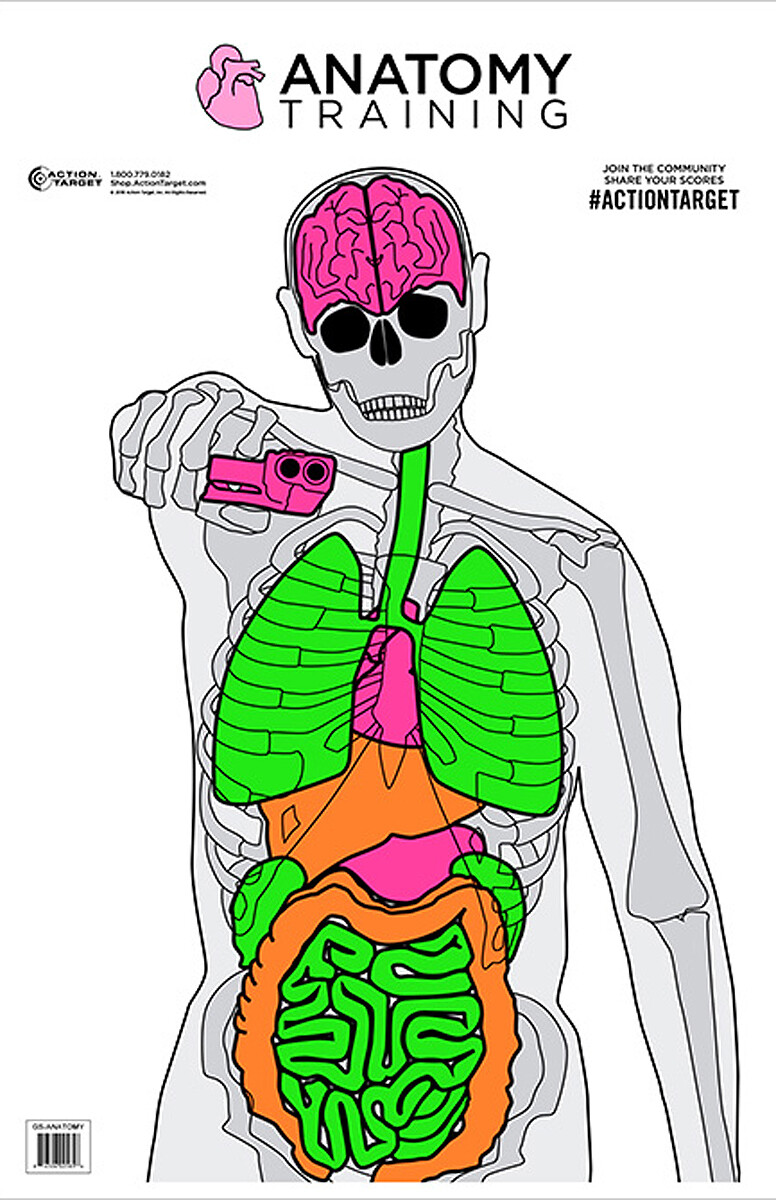 Action Target Inc Entertainment, Action Gsanatomy100   Anatomy Silhte Vitals 100 Bx
