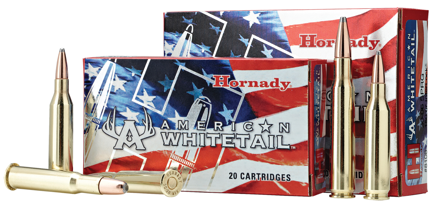 Hornady American Whitetail, Horn 8047   Am Whtl 243   100 Sp             20/10