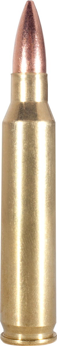 Armscor Usa, Arms Fac2231n         223       55 Fmj       20/50