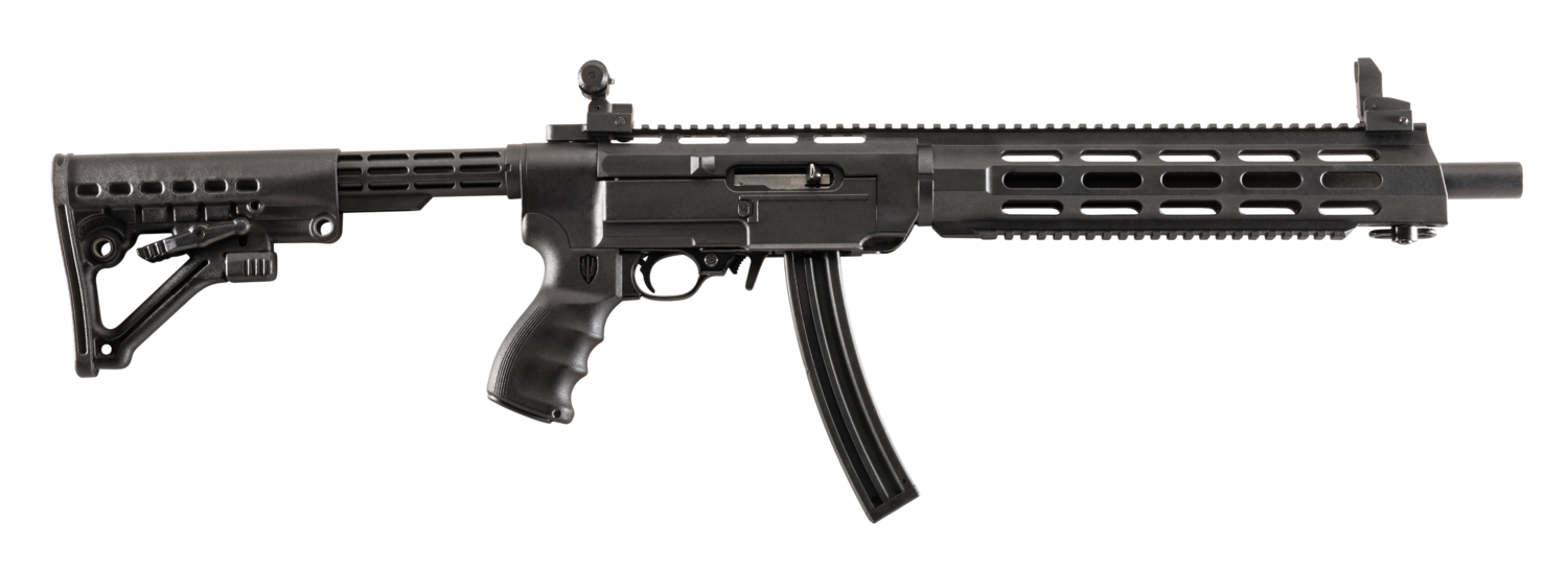 Archangel Ar-15 Style, Pro Aa556rex Arch 10/22 Conv Stk Rail