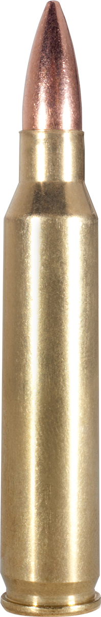 Armscor Usa, Arms Fac2238n         223       62 Fmj       20/50