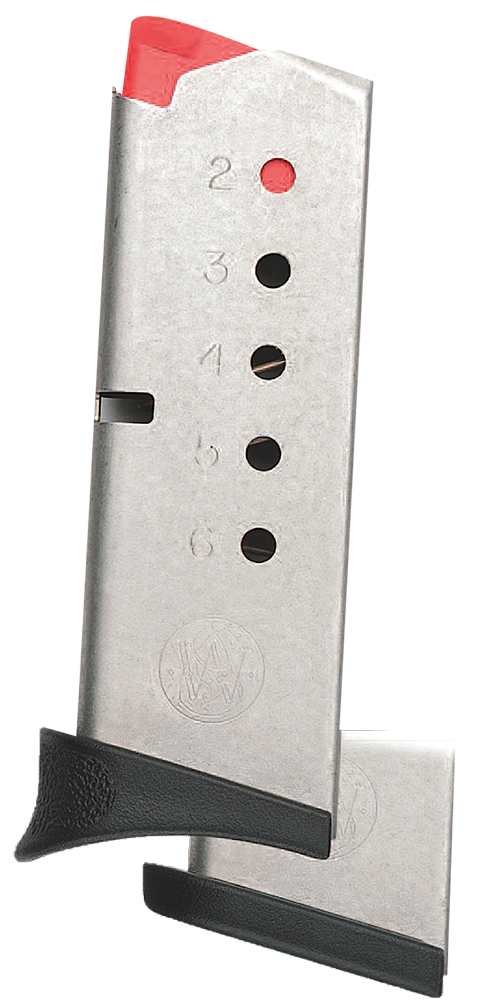 Smith & Wesson Bodyguard, S&w 199300000  Mag 380 Bodyguard Ss  6r