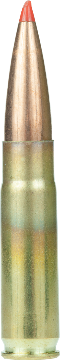 Armscor Usa, Arms Fac300aac2n      300bo 208 Amax         20/10