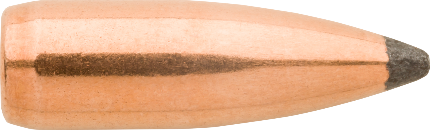 Sierra Gameking, Sierra 1365  .224  55 Sbt          100