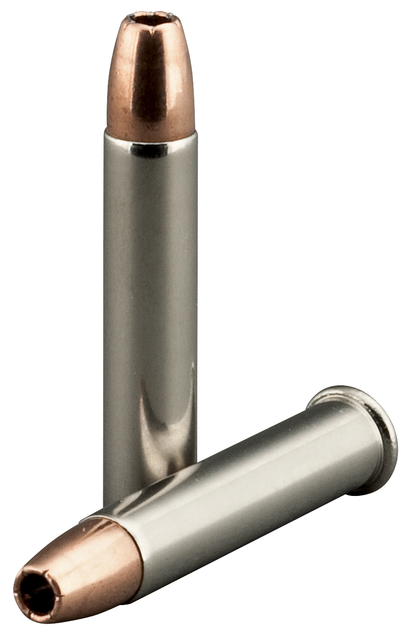 Speer Ammo Gold Dot, Speer 954     Gold Dot 22wmr   40 Hp         50/40