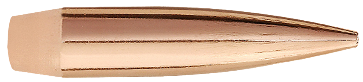 Sierra Matchking, Sierra 1537  .243  95 Hpbt Match           100