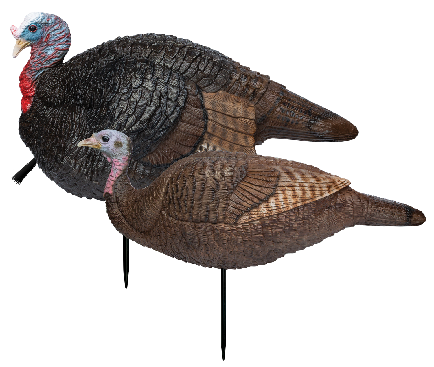 Primos Lil' Gobstopper, Prim 69075    Lil Gobstopper Hen And Jake Combo