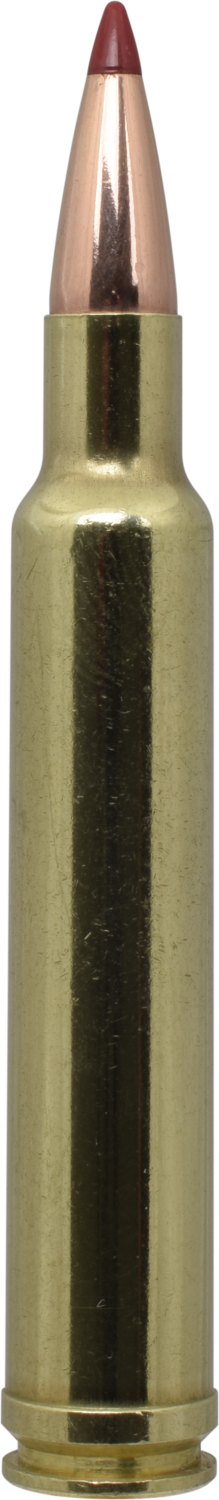 Hornady Precision Hunter, Horn 82213  Prcsn Hunt 300 Wby   200 Eld-x   20/10